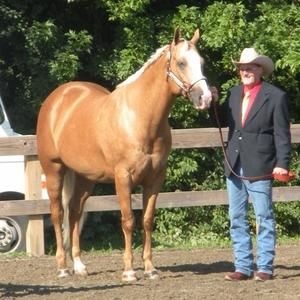 Meet your Posher, Gary